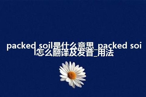 packed soil是什么意思_packed soil怎么翻译及发音_用法