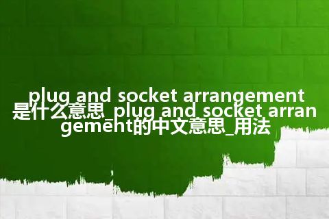plug and socket arrangement是什么意思_plug and socket arrangement的中文意思_用法