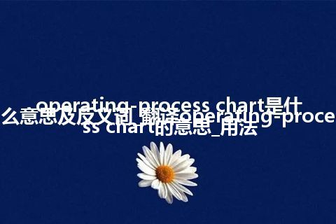operating-process chart是什么意思及反义词_翻译operating-process chart的意思_用法