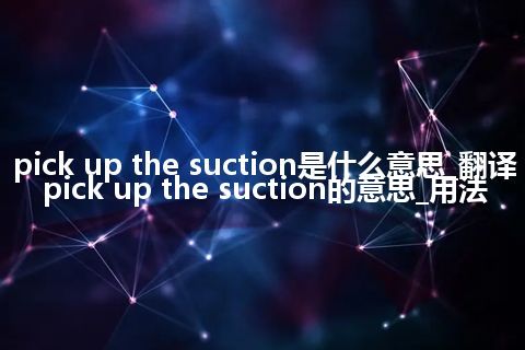 pick up the suction是什么意思_翻译pick up the suction的意思_用法