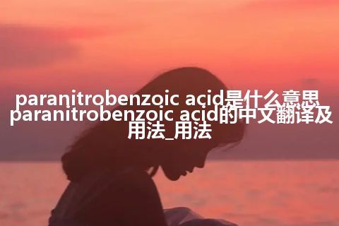 paranitrobenzoic acid是什么意思_paranitrobenzoic acid的中文翻译及用法_用法