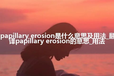 papillary erosion是什么意思及用法_翻译papillary erosion的意思_用法