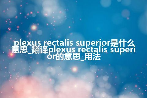plexus rectalis superior是什么意思_翻译plexus rectalis superior的意思_用法