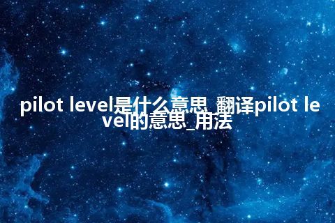 pilot level是什么意思_翻译pilot level的意思_用法