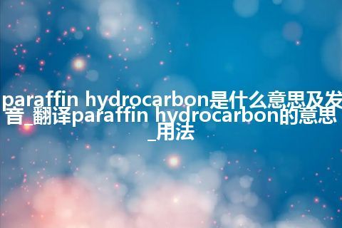 paraffin hydrocarbon是什么意思及发音_翻译paraffin hydrocarbon的意思_用法