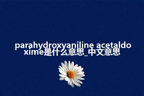 parahydroxyaniline acetaldoxime是什么意思_中文意思