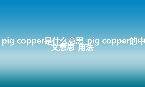 pig copper是什么意思_pig copper的中文意思_用法