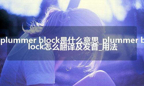 plummer block是什么意思_plummer block怎么翻译及发音_用法