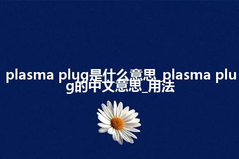 plasma plug是什么意思_plasma plug的中文意思_用法