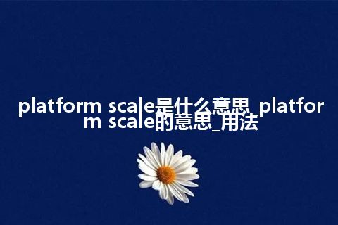 platform scale是什么意思_platform scale的意思_用法