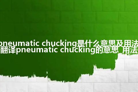 pneumatic chucking是什么意思及用法_翻译pneumatic chucking的意思_用法
