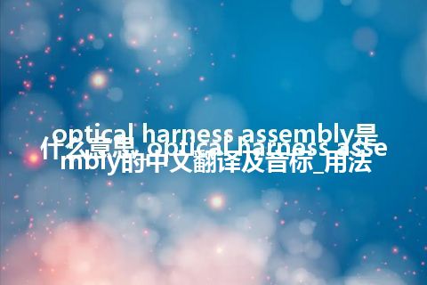optical harness assembly是什么意思_optical harness assembly的中文翻译及音标_用法