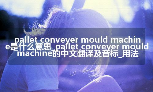 pallet conveyer mould machine是什么意思_pallet conveyer mould machine的中文翻译及音标_用法