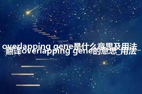 overlapping gene是什么意思及用法_翻译overlapping gene的意思_用法