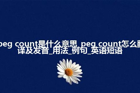 peg count是什么意思_peg count怎么翻译及发音_用法_例句_英语短语