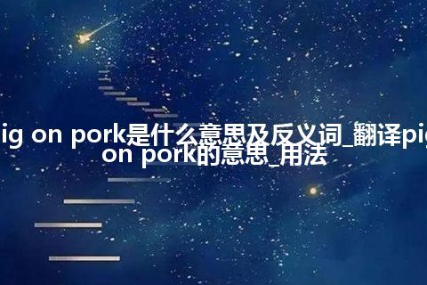 pig on pork是什么意思及反义词_翻译pig on pork的意思_用法