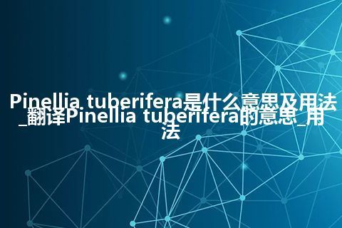 Pinellia tuberifera是什么意思及用法_翻译Pinellia tuberifera的意思_用法