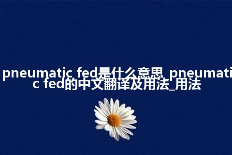 pneumatic fed是什么意思_pneumatic fed的中文翻译及用法_用法