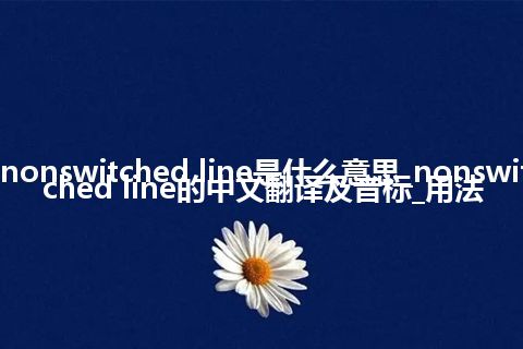 nonswitched line是什么意思_nonswitched line的中文翻译及音标_用法
