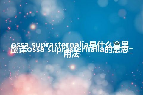 ossa suprasternalia是什么意思_翻译ossa suprasternalia的意思_用法