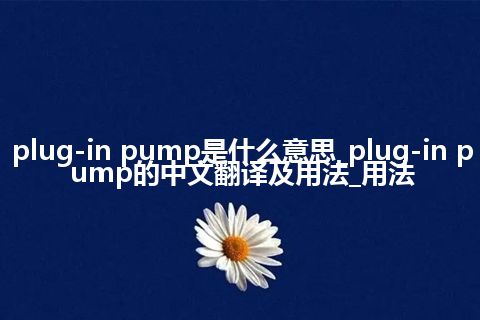 plug-in pump是什么意思_plug-in pump的中文翻译及用法_用法