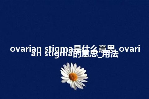 ovarian stigma是什么意思_ovarian stigma的意思_用法