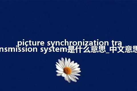 picture synchronization transmission system是什么意思_中文意思