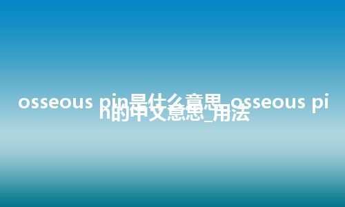 osseous pin是什么意思_osseous pin的中文意思_用法