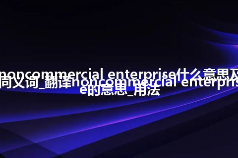 noncommercial enterprise什么意思及同义词_翻译noncommercial enterprise的意思_用法
