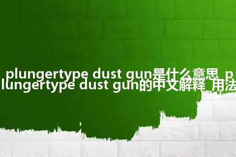 plungertype dust gun是什么意思_plungertype dust gun的中文解释_用法