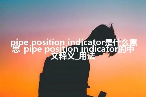 pipe position indicator是什么意思_pipe position indicator的中文释义_用法