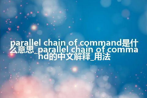 parallel chain of command是什么意思_parallel chain of command的中文解释_用法