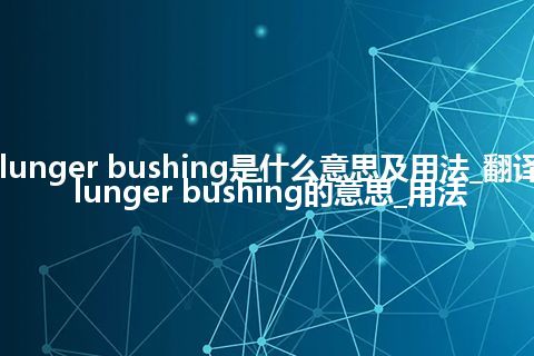 plunger bushing是什么意思及用法_翻译plunger bushing的意思_用法