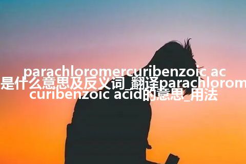 parachloromercuribenzoic acid是什么意思及反义词_翻译parachloromercuribenzoic acid的意思_用法