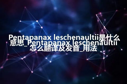 Pentapanax leschenaultii是什么意思_Pentapanax leschenaultii怎么翻译及发音_用法