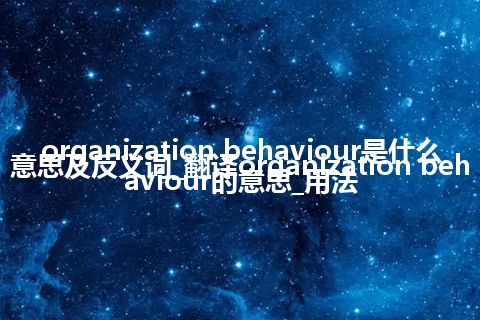 organization behaviour是什么意思及反义词_翻译organization behaviour的意思_用法