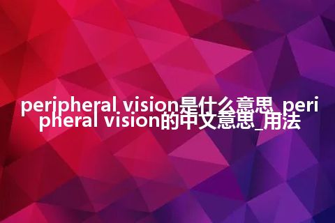 peripheral vision是什么意思_peripheral vision的中文意思_用法