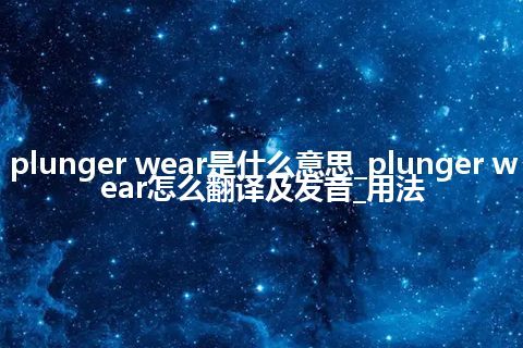 plunger wear是什么意思_plunger wear怎么翻译及发音_用法