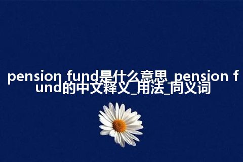 pension fund是什么意思_pension fund的中文释义_用法_同义词