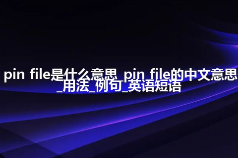 pin file是什么意思_pin file的中文意思_用法_例句_英语短语