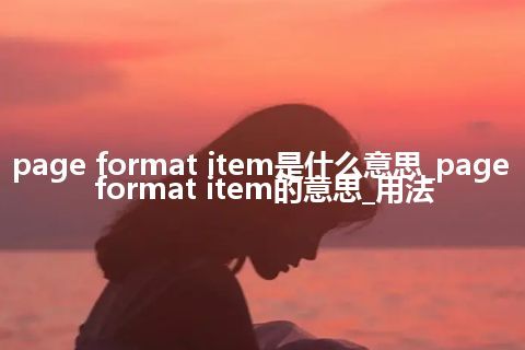 page format item是什么意思_page format item的意思_用法