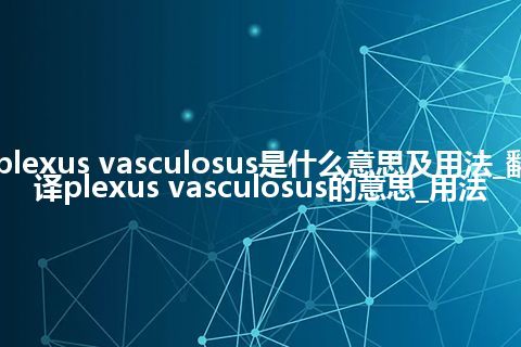 plexus vasculosus是什么意思及用法_翻译plexus vasculosus的意思_用法