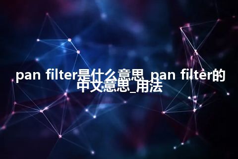 pan filter是什么意思_pan filter的中文意思_用法