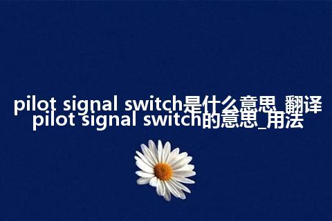 pilot signal switch是什么意思_翻译pilot signal switch的意思_用法