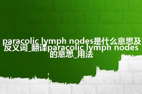 paracolic lymph nodes是什么意思及反义词_翻译paracolic lymph nodes的意思_用法