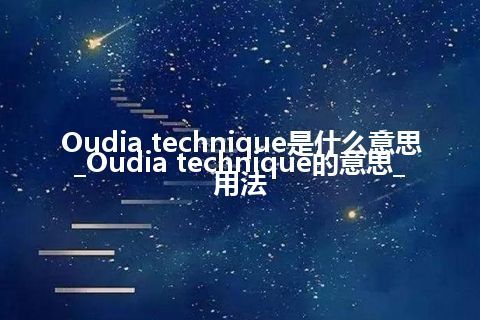 Oudia technique是什么意思_Oudia technique的意思_用法