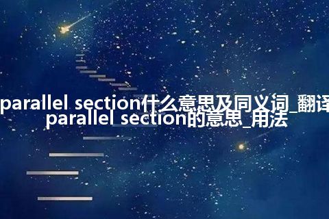 parallel section什么意思及同义词_翻译parallel section的意思_用法