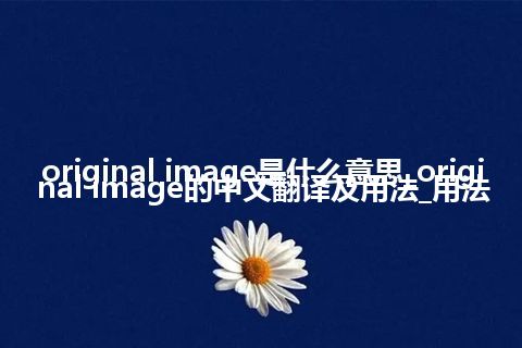 original image是什么意思_original image的中文翻译及用法_用法