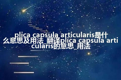 plica capsula articularis是什么意思及用法_翻译plica capsula articularis的意思_用法