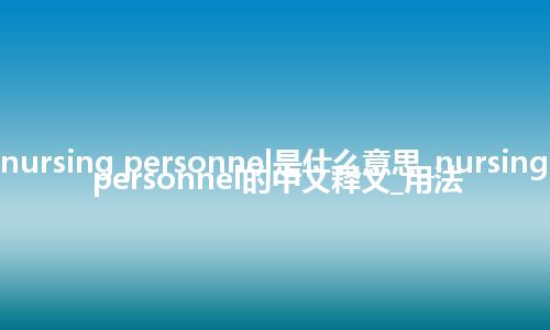 nursing personnel是什么意思_nursing personnel的中文释义_用法